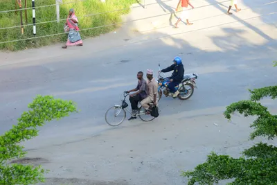 DSC_8255 (Large).JPG